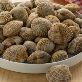 10 Tartufi di mare