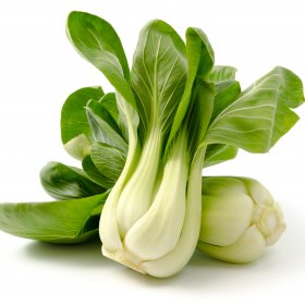  Pak Choi 3