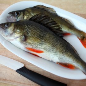 50 gr di Filetto di Pesce Persico