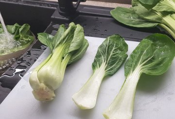 Pak Choi In Padella preparazione 0