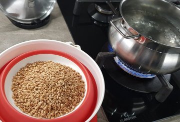 INSALATA DI FARRO ESTIVA preparazione 0