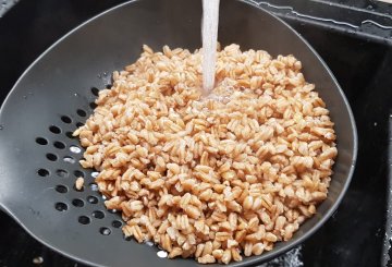 INSALATA DI FARRO ESTIVA preparazione 2