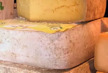 Formaggio raschera